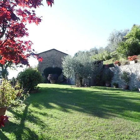 Petrognano * Petrognano (Lucca)