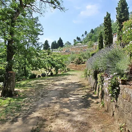 Petrognano Petrognano (Lucca)